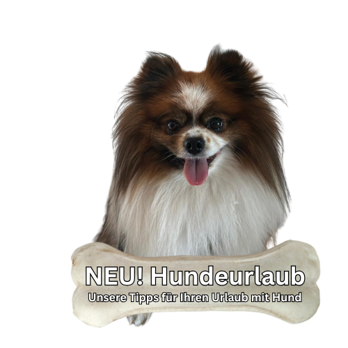 Urlaub mit dem Hund