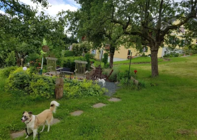 Hunde im Garten - FDW