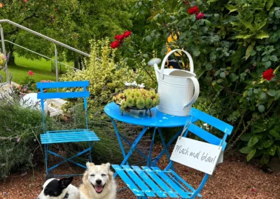 Hunde vor Ruheplatz - FDW