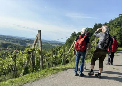 Wandergruppe Weinberg - FDW