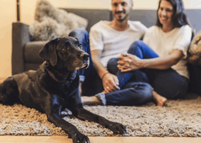 Hunde sitz mit Besitzern auf Teppich