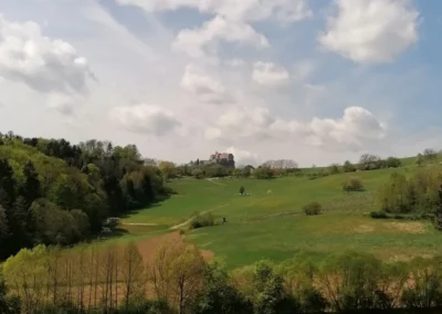 Blick in Landschaft - FDW