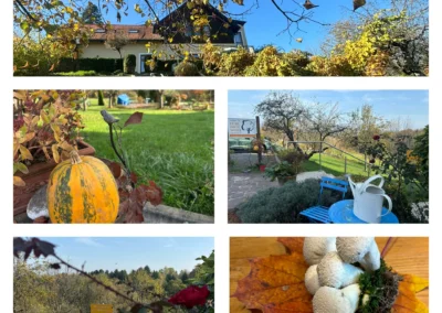 Impressionen - FDW