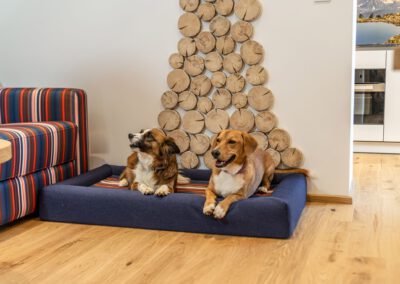 Hunde relaxen