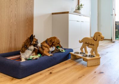 Hunde auf Hundematte
