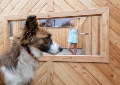 Wellness für den Hund