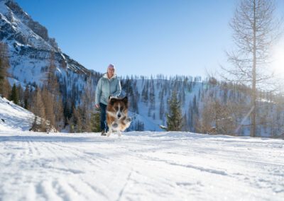 Winterspaziergang mit Hund