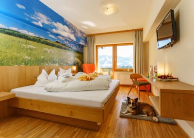 Hotel Almfrieden Hundezimmer