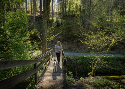 Gassi über Brücke