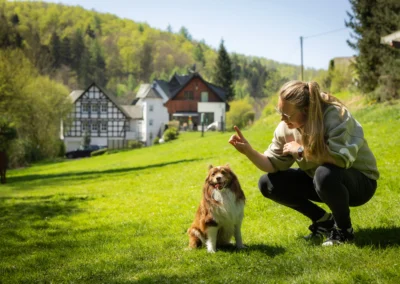 Spielzeit mit Hund