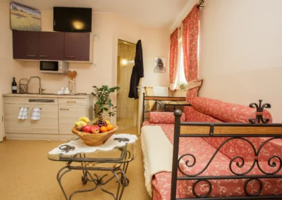 Wohnbereich im Studio mit Küchenzeile